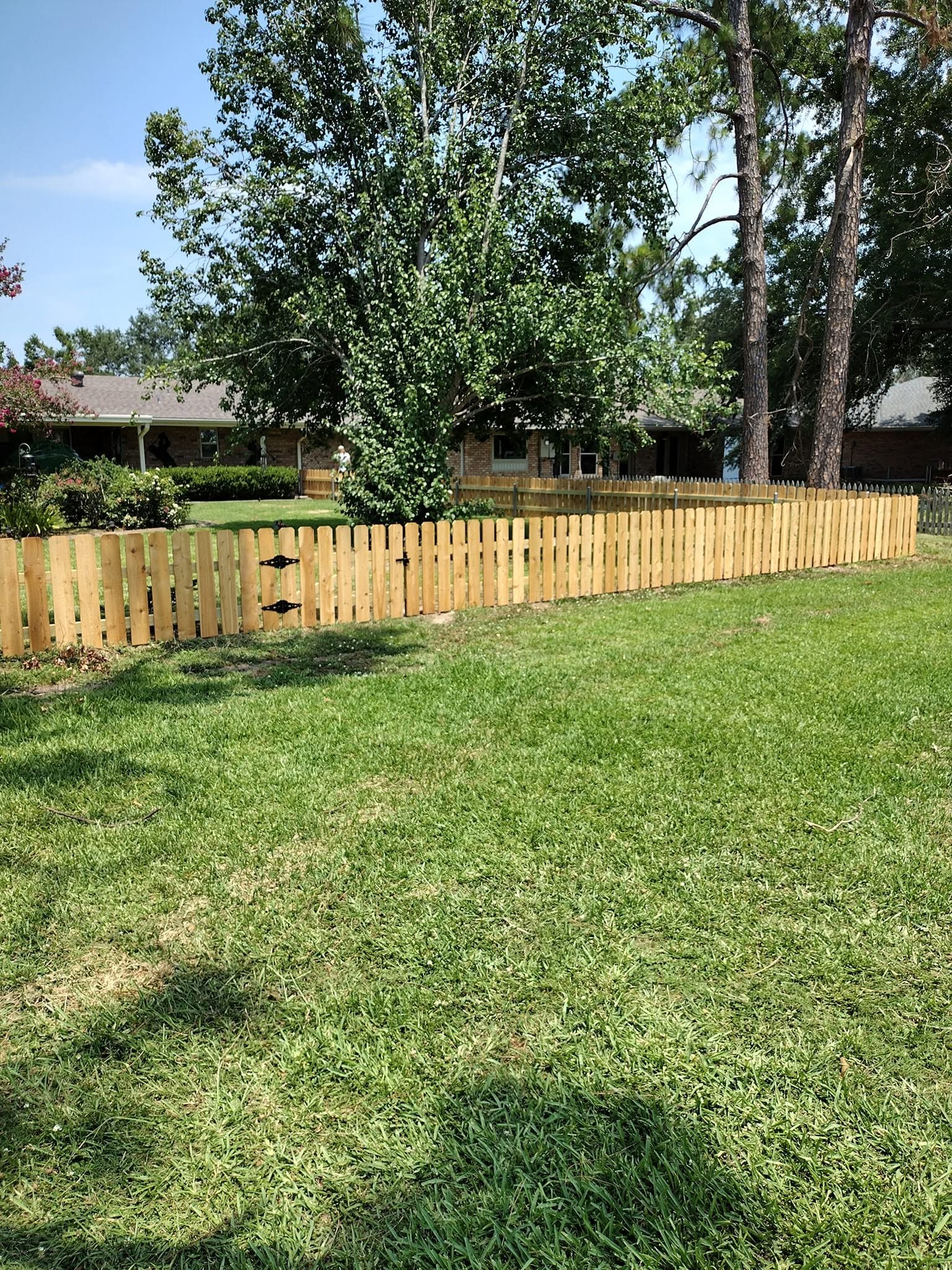 Scalloped wood picket fence and matching gate installed along a shaded Louisiana front yard